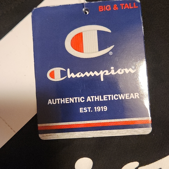 Big & Tall Champion Tshirt - Picture 2 of 3